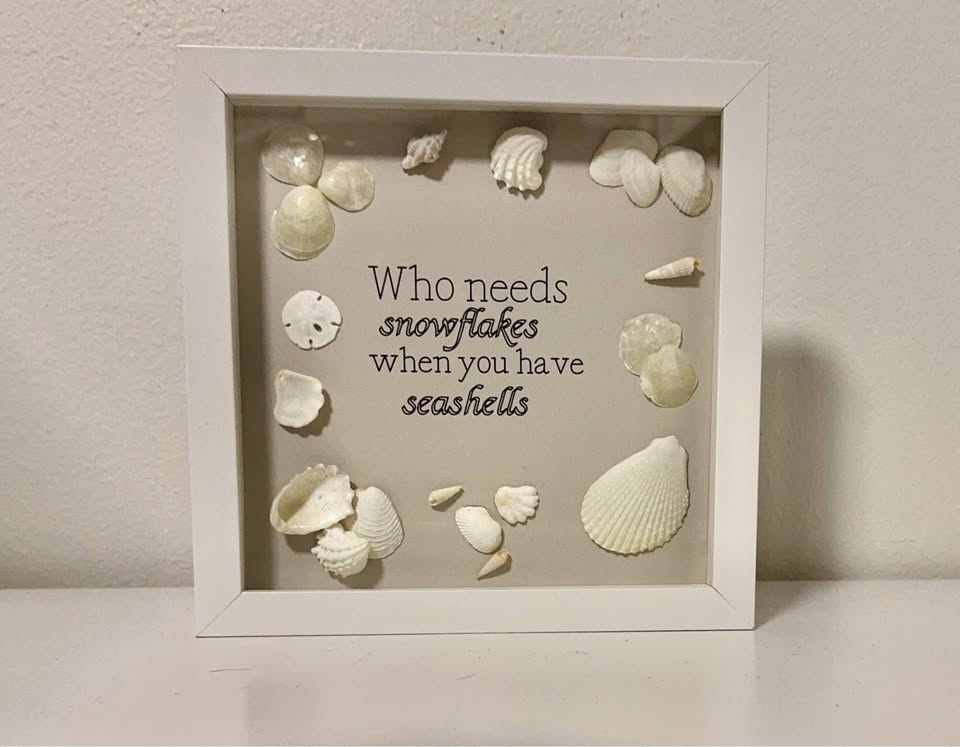 Shadowbox Who Needs Snowflakes When You Have Seashells