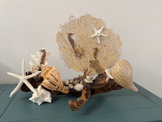 Driftwood Coastal Scene with Sea Fan and Sea Horses